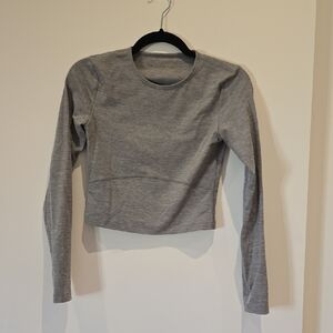 Aritzia Gray Cropped Long-Sleeve Crewneck Top